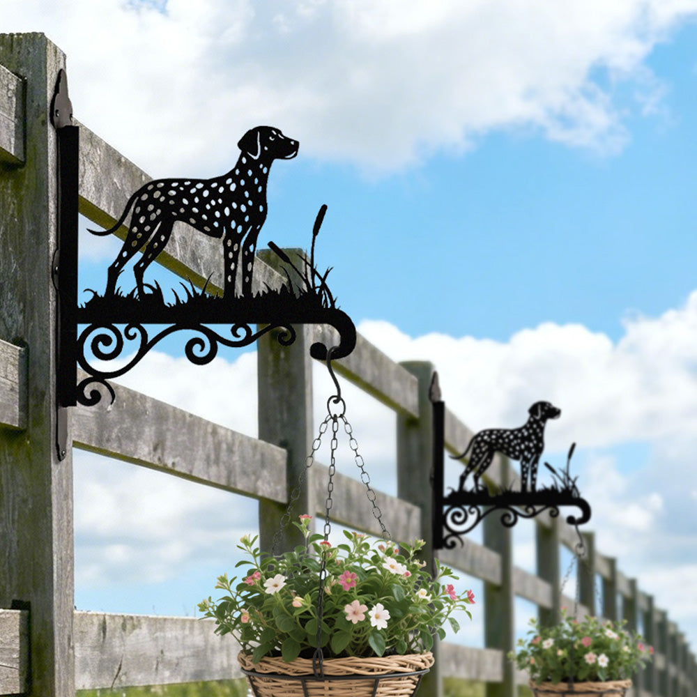 Dalmatian metal hanging basket bracket mounted on outdoor wall for plant decoration