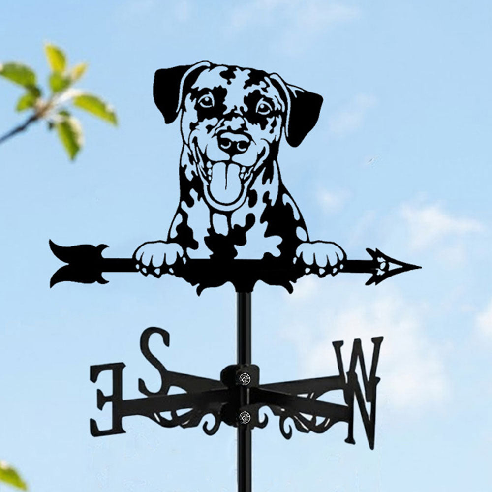Dalmatian metal weather vane with directional arrows and mounting rod, outdoor roof and garden decoration