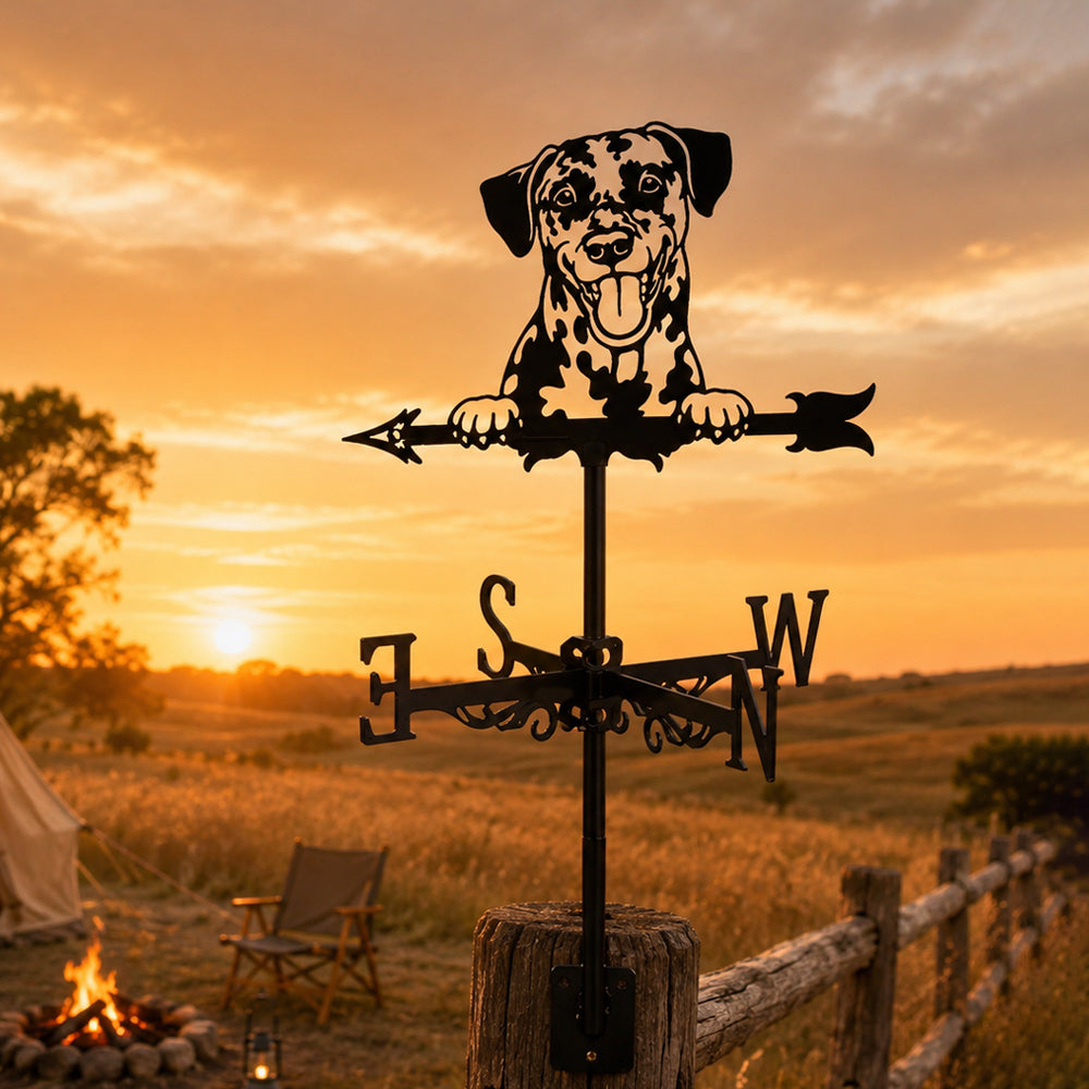 Dalmatian metal weather vane with directional arrows and mounting rod, outdoor roof and garden decoration