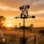 Dalmatian metal weather vane with directional arrows and mounting rod, outdoor roof and garden decoration