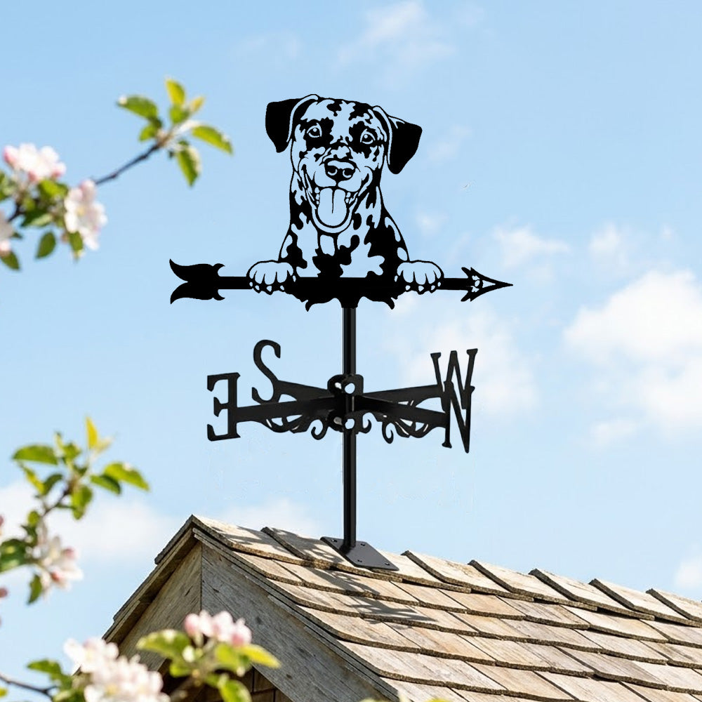 Dalmatian metal weather vane with directional arrows and mounting rod, outdoor roof and garden decoration