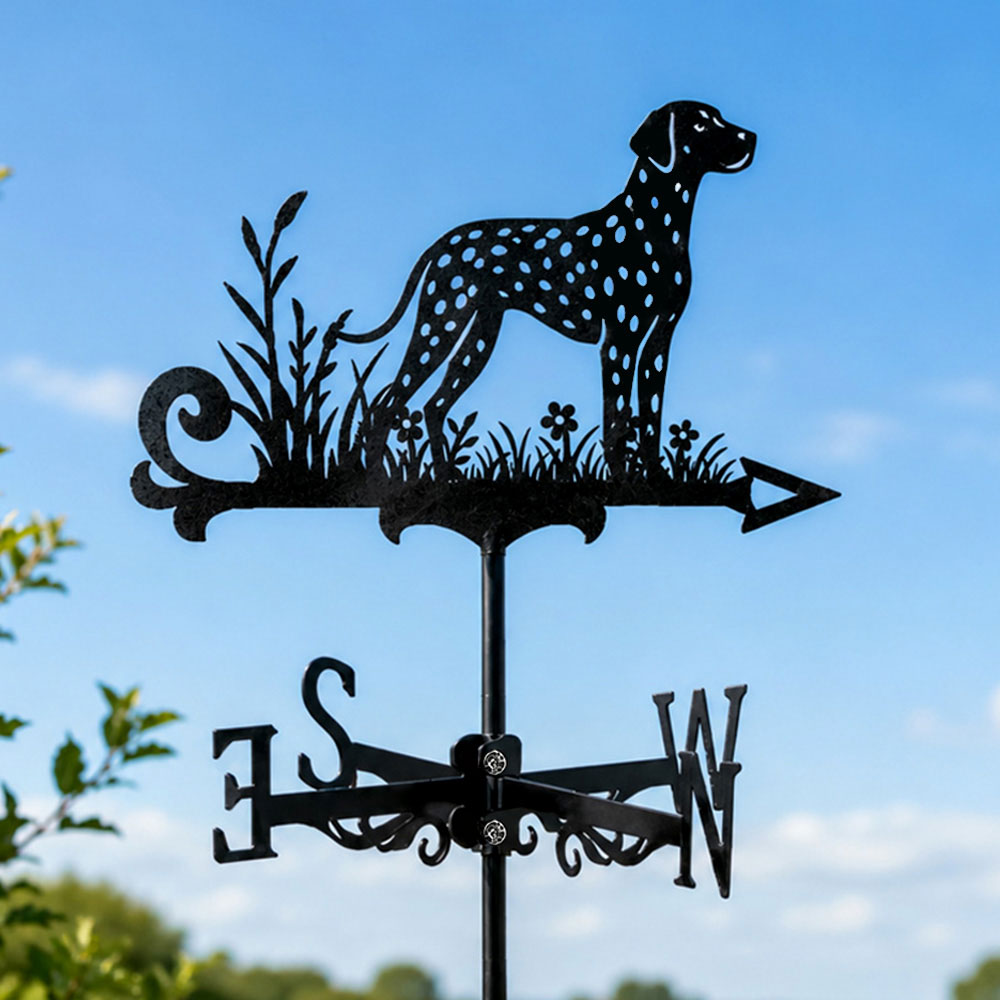 Dalmatian metal weather vane with directional arrows and mounting rod, outdoor roof and garden decoration
