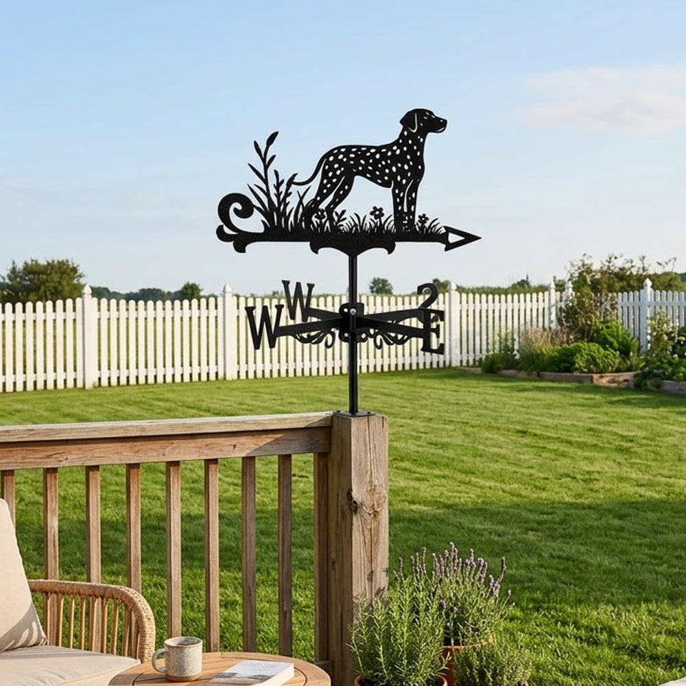 Dalmatian metal weather vane with directional arrows and mounting rod, outdoor roof and garden decoration