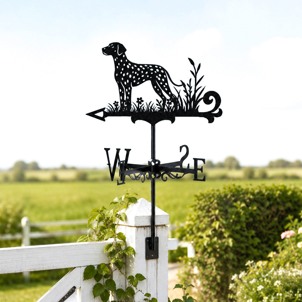 Dalmatian metal weather vane with directional arrows and mounting rod, outdoor roof and garden decoration