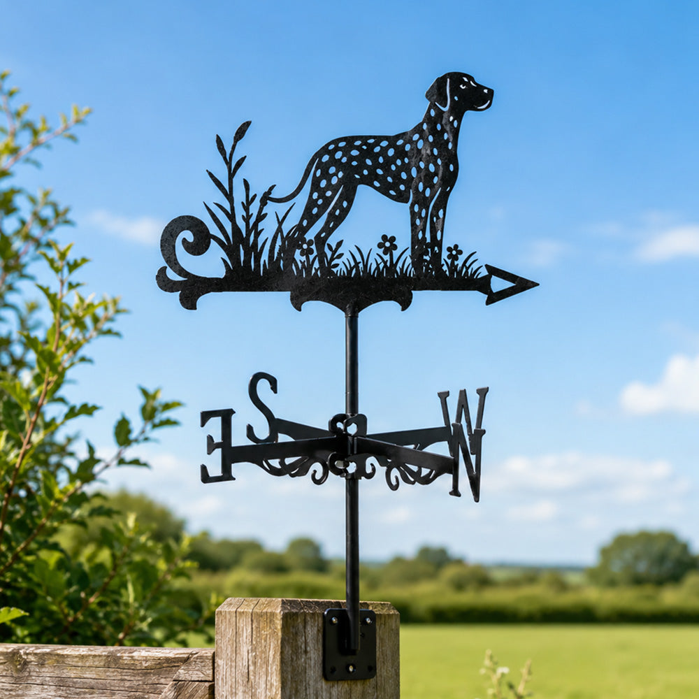 Dalmatian metal weather vane with directional arrows and mounting rod, outdoor roof and garden decoration