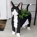 Devon Rex cat planter filled with fresh flowers is placed in the garden