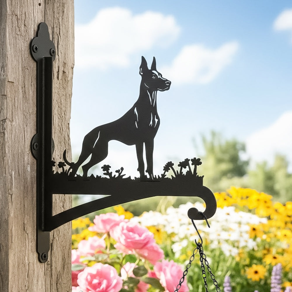 Doberman pinscher metal hanging basket bracket mounted on outdoor wall for plant decoration