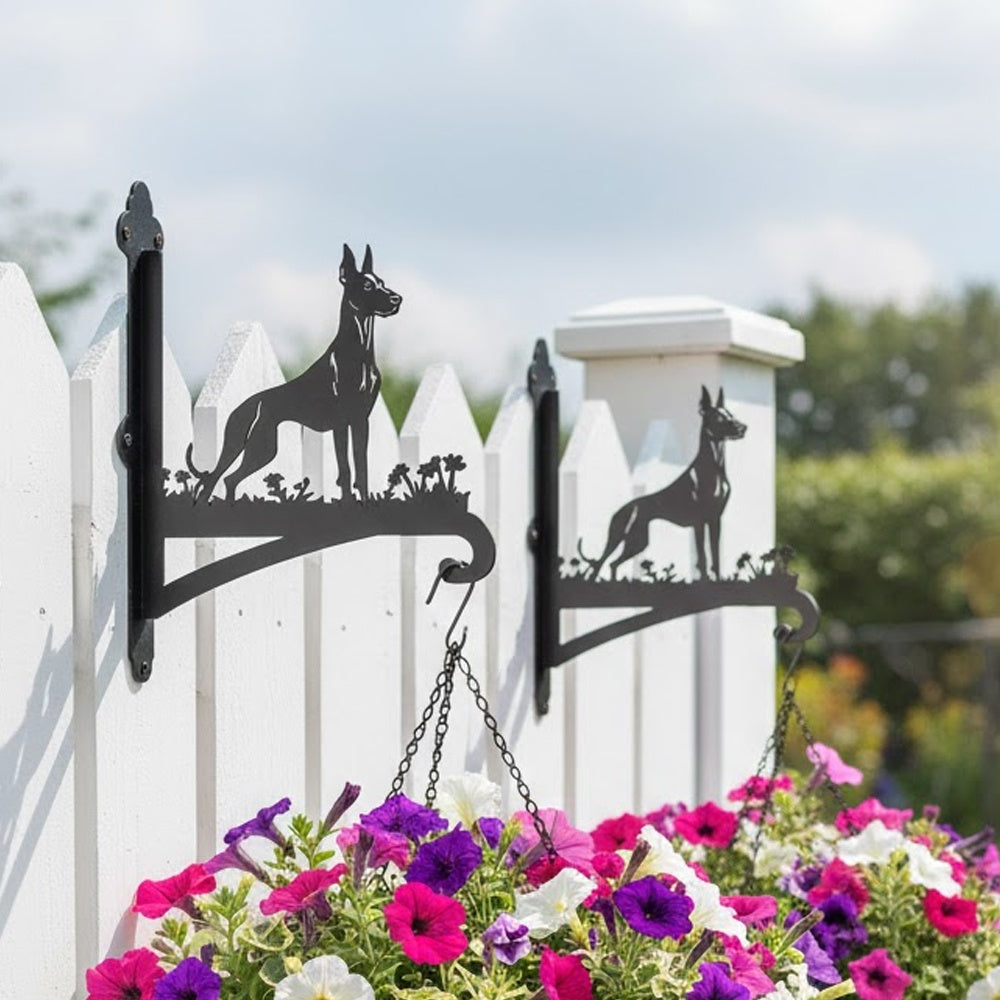 Doberman pinscher metal hanging basket bracket mounted on outdoor wall for plant decoration