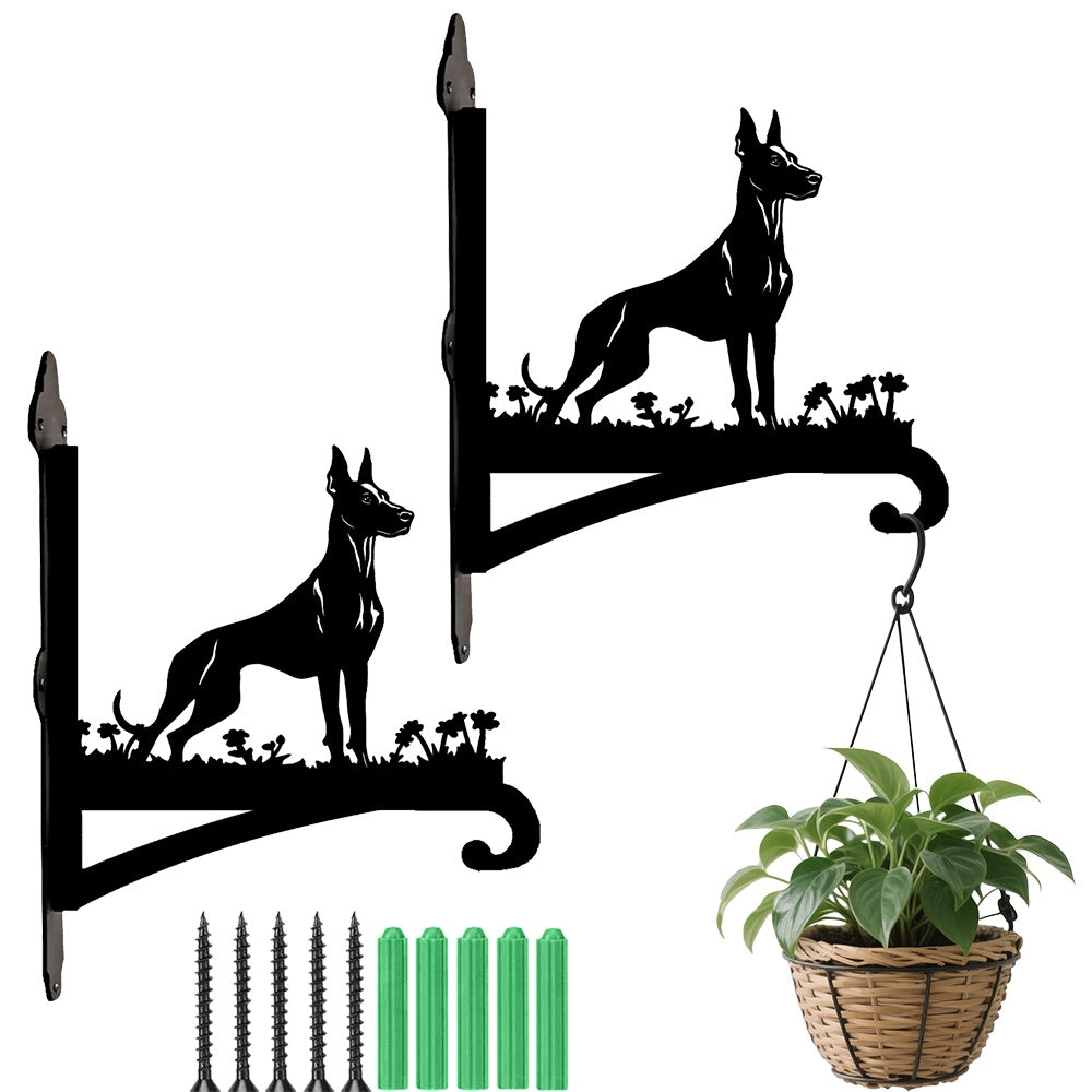Doberman pinscher metal hanging basket bracket mounted on outdoor wall for plant decoration