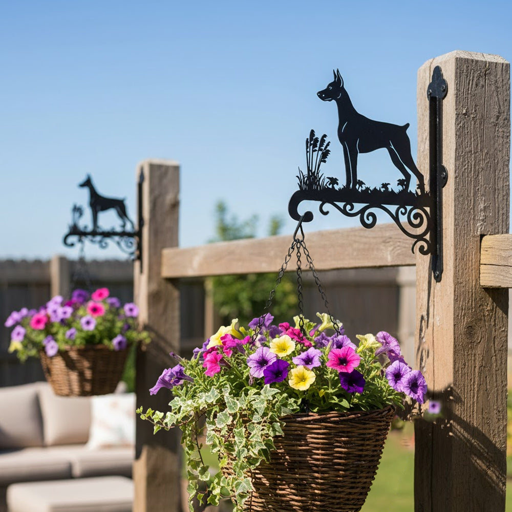 Doberman pinscher metal hanging basket bracket mounted on outdoor wall for plant decoration