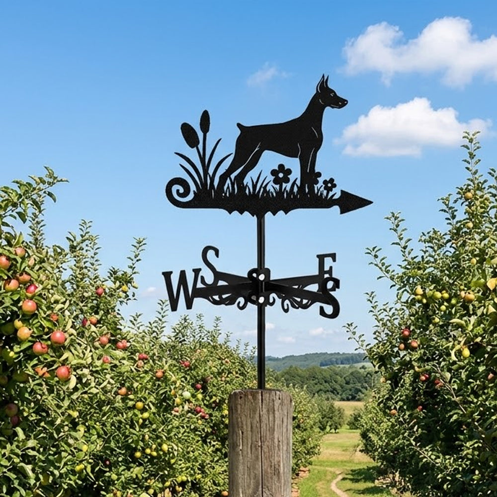 Doberman Pinscher metal weather vane with directional arrows and mounting rod, outdoor roof and garden decoration