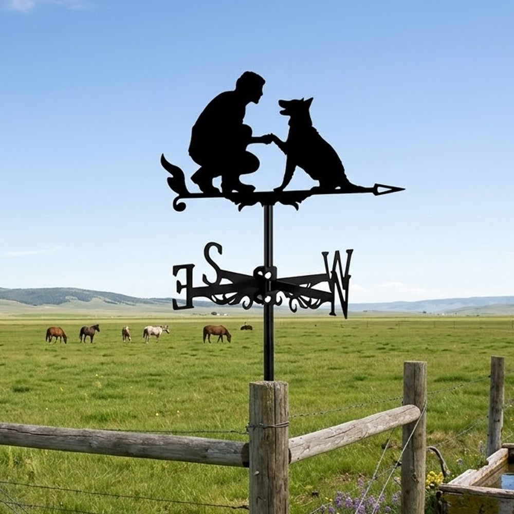 Dog Training metal weather vane with directional arrows and mounting rod, outdoor roof and garden decoration