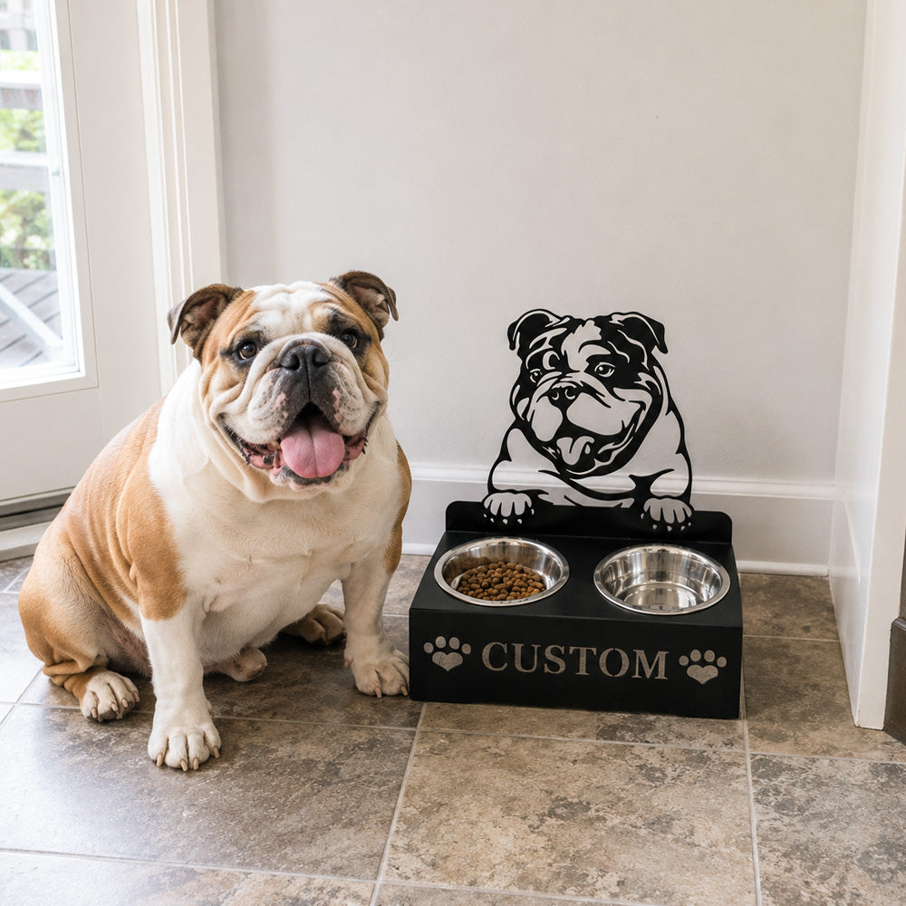 Personalized english bull dog metal dog bowl stand with custom name cutout and two removable feeding bowls