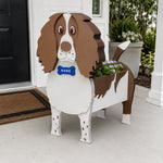 English Springer Spaniel dog planter filled with fresh flowers is placed in the garden