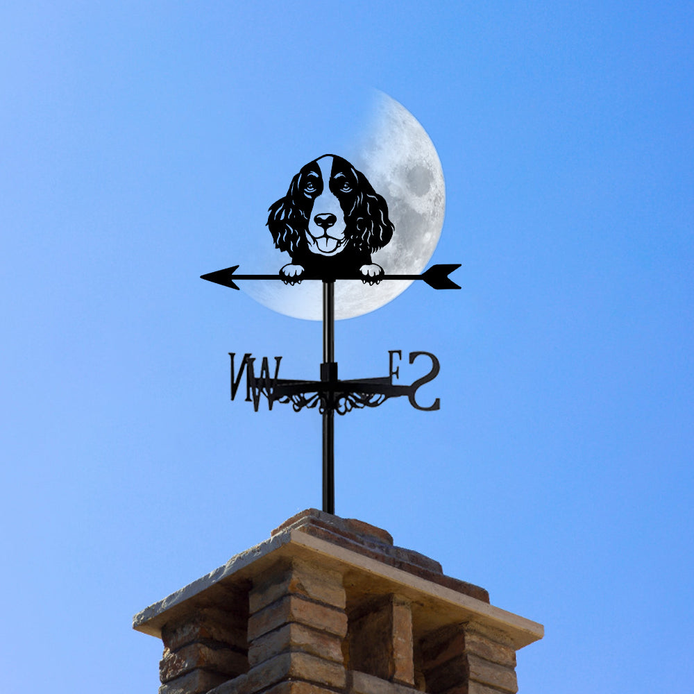 English Springer Spaniel metal weather vane with directional arrows and mounting rod, outdoor roof and garden decoration