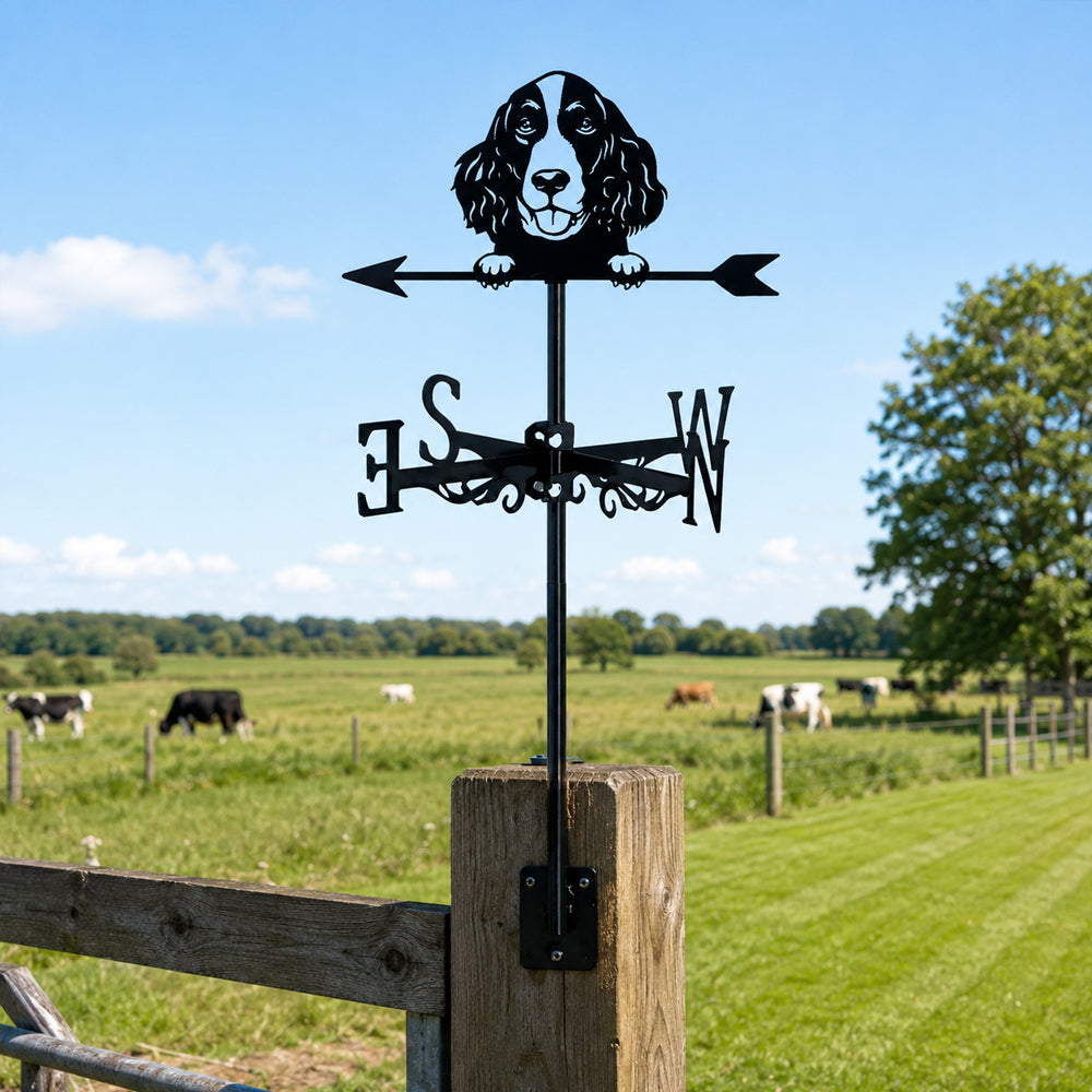 English Springer Spaniel metal weather vane with directional arrows and mounting rod, outdoor roof and garden decoration