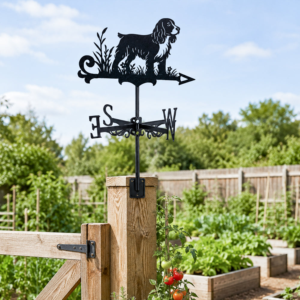 English Springer Spaniel metal weather vane with directional arrows and mounting rod, outdoor roof and garden decoration