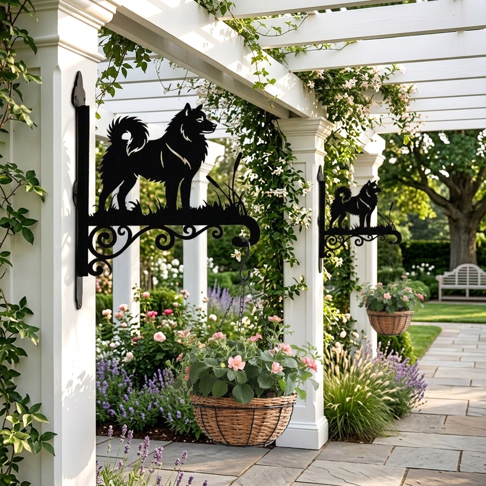 Finnish spitz metal hanging basket bracket mounted on outdoor wall for plant decoration