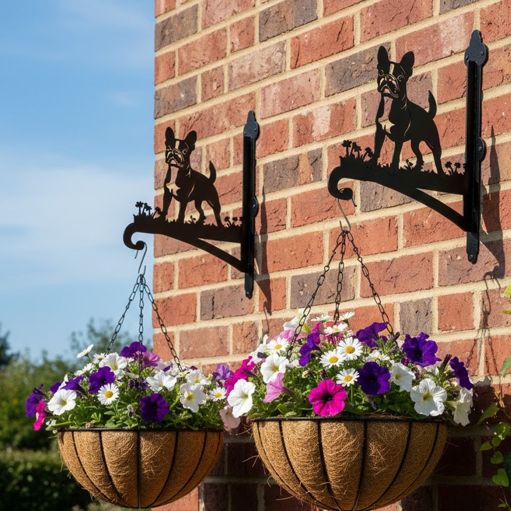 French bulldog metal hanging basket bracket mounted on outdoor wall for plant decoration