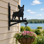 French bulldog metal hanging basket bracket mounted on outdoor wall for plant decoration