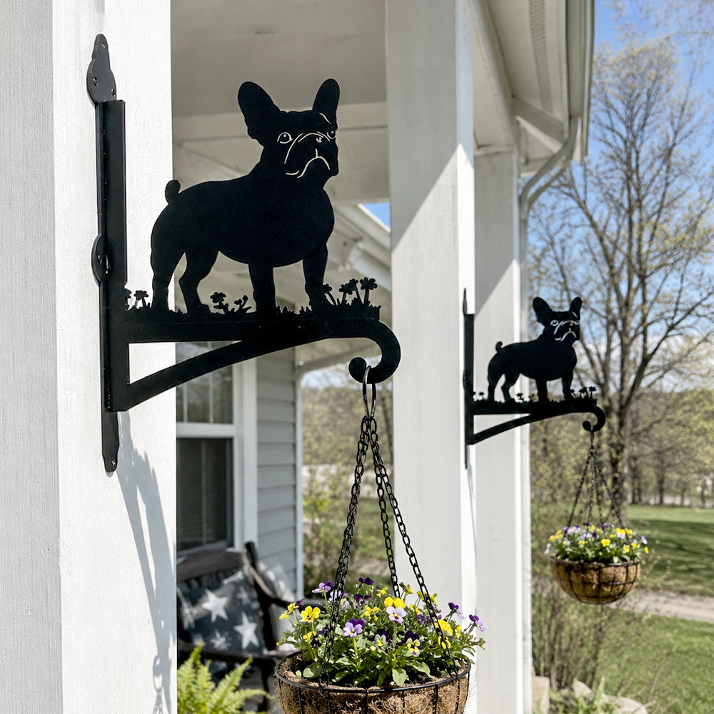French bulldog metal hanging basket bracket mounted on outdoor wall for plant decoration