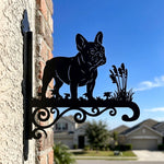 French bulldog metal hanging basket bracket mounted on outdoor wall for plant decoration
