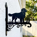 Golden retriever metal hanging basket bracket mounted on outdoor wall for plant decoration