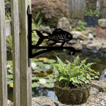 Goldfish metal hanging basket bracket mounted on outdoor wall for plant decoration