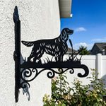 Gordon setter metal hanging basket bracket mounted on outdoor wall for plant decoration
