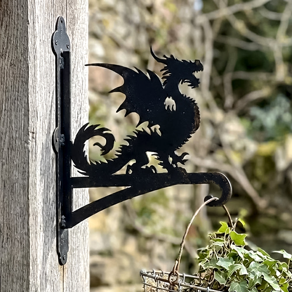Gothic dragon metal hanging basket bracket mounted on outdoor wall for plant decoration