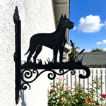 Great dane metal hanging basket bracket mounted on outdoor wall for plant decoration