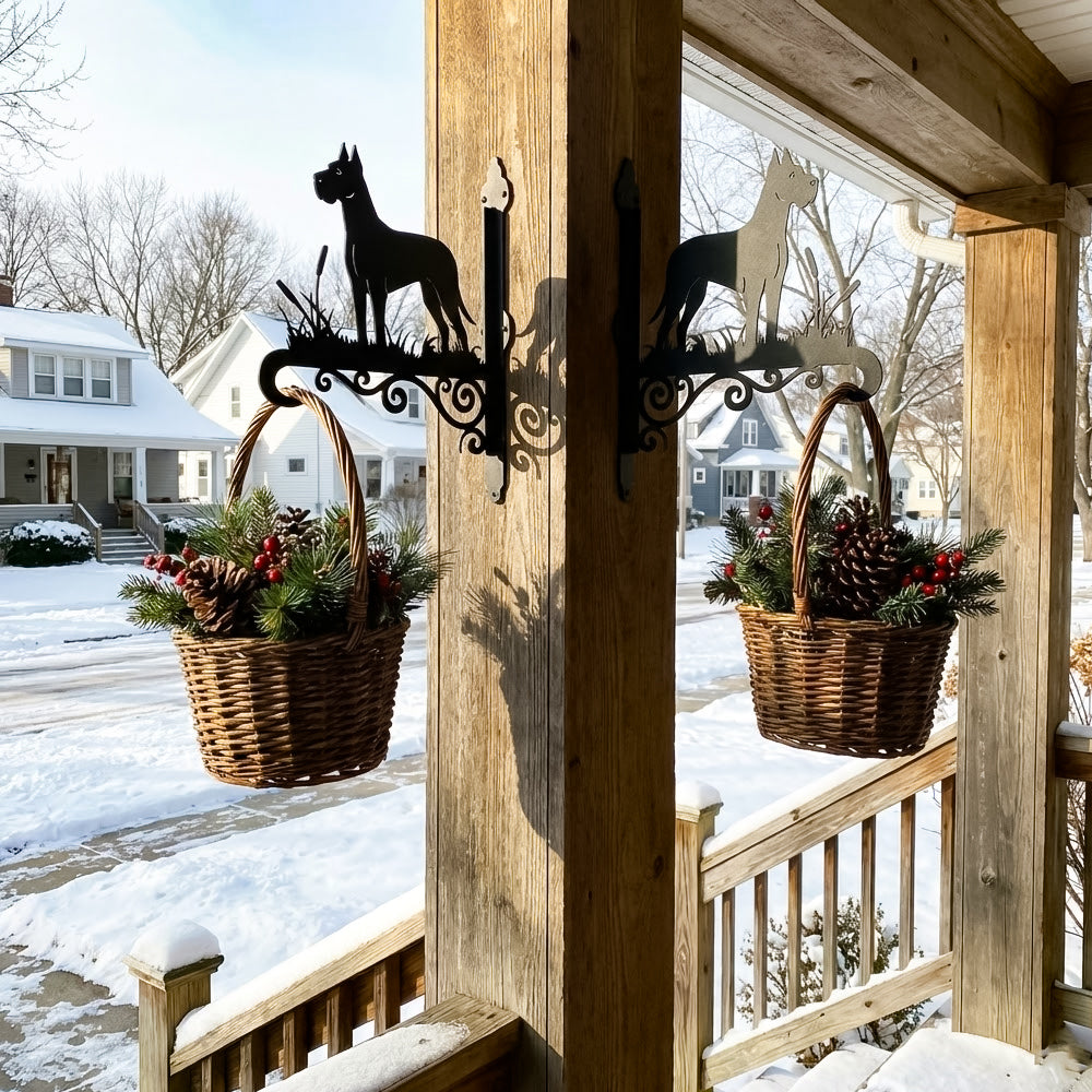 Great dane metal hanging basket bracket mounted on outdoor wall for plant decoration