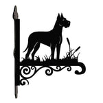 Great dane metal hanging basket bracket mounted on outdoor wall for plant decoration