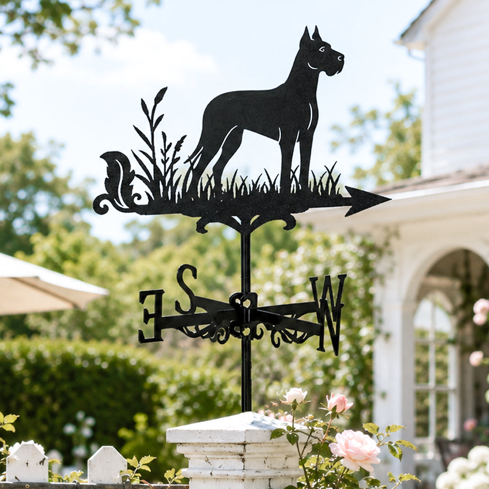 Great Dane metal weather vane with directional arrows and mounting rod, outdoor roof and garden decoration