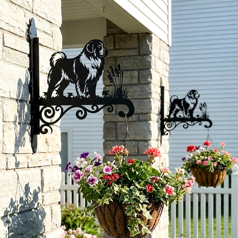 Great pyrenees metal hanging basket bracket mounted on outdoor wall for plant decoration