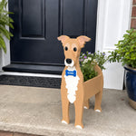 Greyhound dog planter filled with fresh flowers is placed in the garden