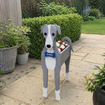 Greyhound dog planter filled with fresh flowers is placed in the garden