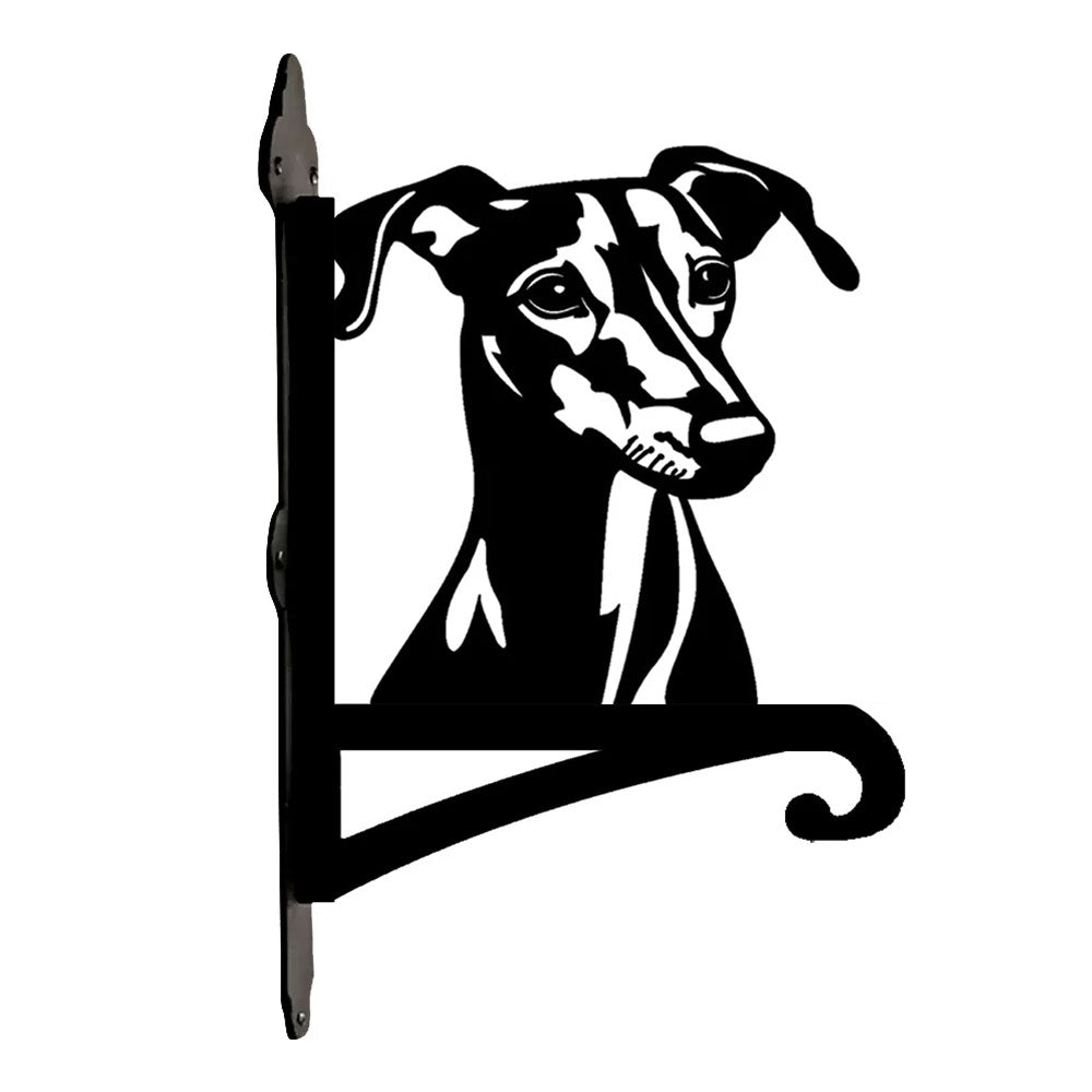 Greyhound metal hanging basket bracket mounted on outdoor wall for plant decoration