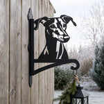 Greyhound metal hanging basket bracket mounted on outdoor wall for plant decoration