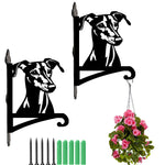 Greyhound metal hanging basket bracket mounted on outdoor wall for plant decoration