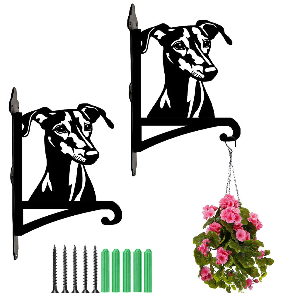 Greyhound metal hanging basket bracket mounted on outdoor wall for plant decoration