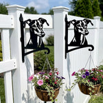 Greyhound metal hanging basket bracket mounted on outdoor wall for plant decoration