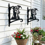 Greyhound metal hanging basket bracket mounted on outdoor wall for plant decoration