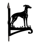 Greyhound metal hanging basket bracket mounted on outdoor wall for plant decoration