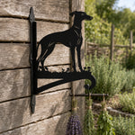 Greyhound metal hanging basket bracket mounted on outdoor wall for plant decoration