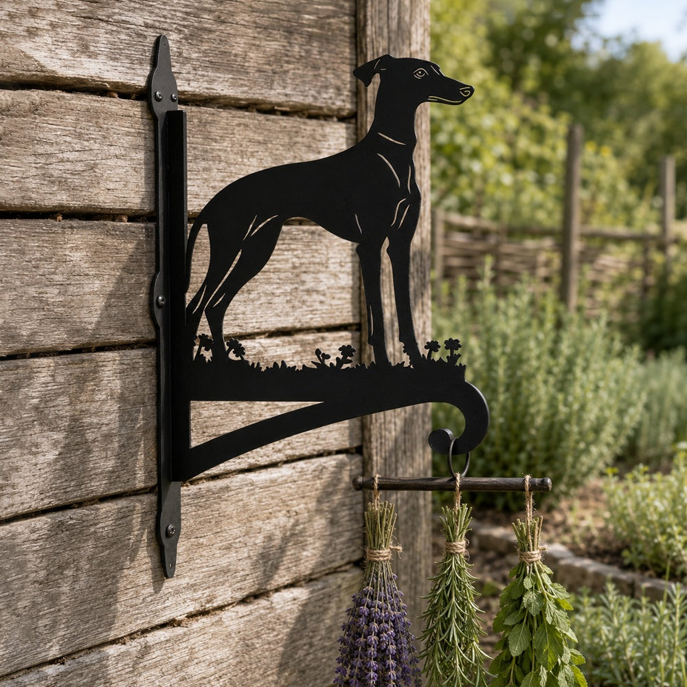 Greyhound metal hanging basket bracket mounted on outdoor wall for plant decoration