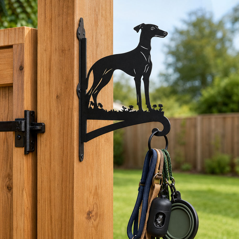 Greyhound metal hanging basket bracket mounted on outdoor wall for plant decoration