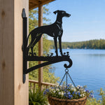 Greyhound metal hanging basket bracket mounted on outdoor wall for plant decoration