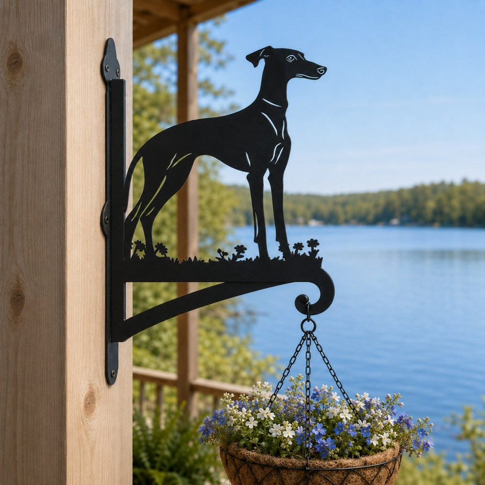 Greyhound metal hanging basket bracket mounted on outdoor wall for plant decoration