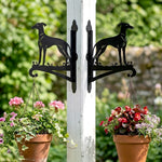 Greyhound metal hanging basket bracket mounted on outdoor wall for plant decoration